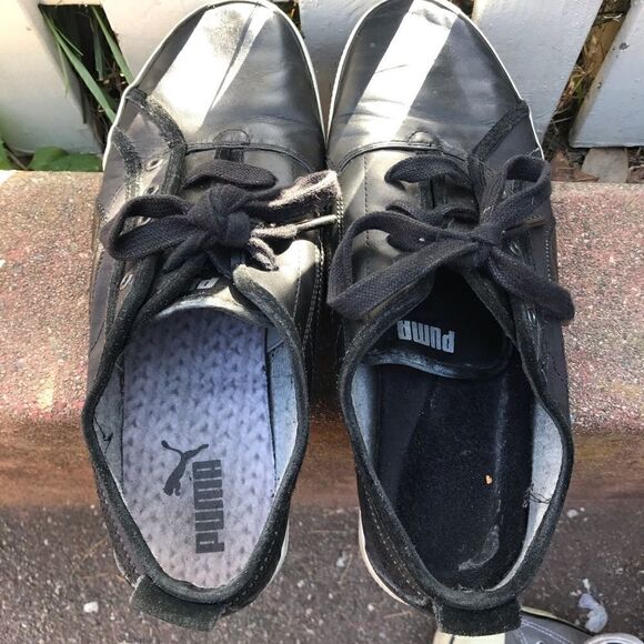 Pumas - Picture 3 of 6